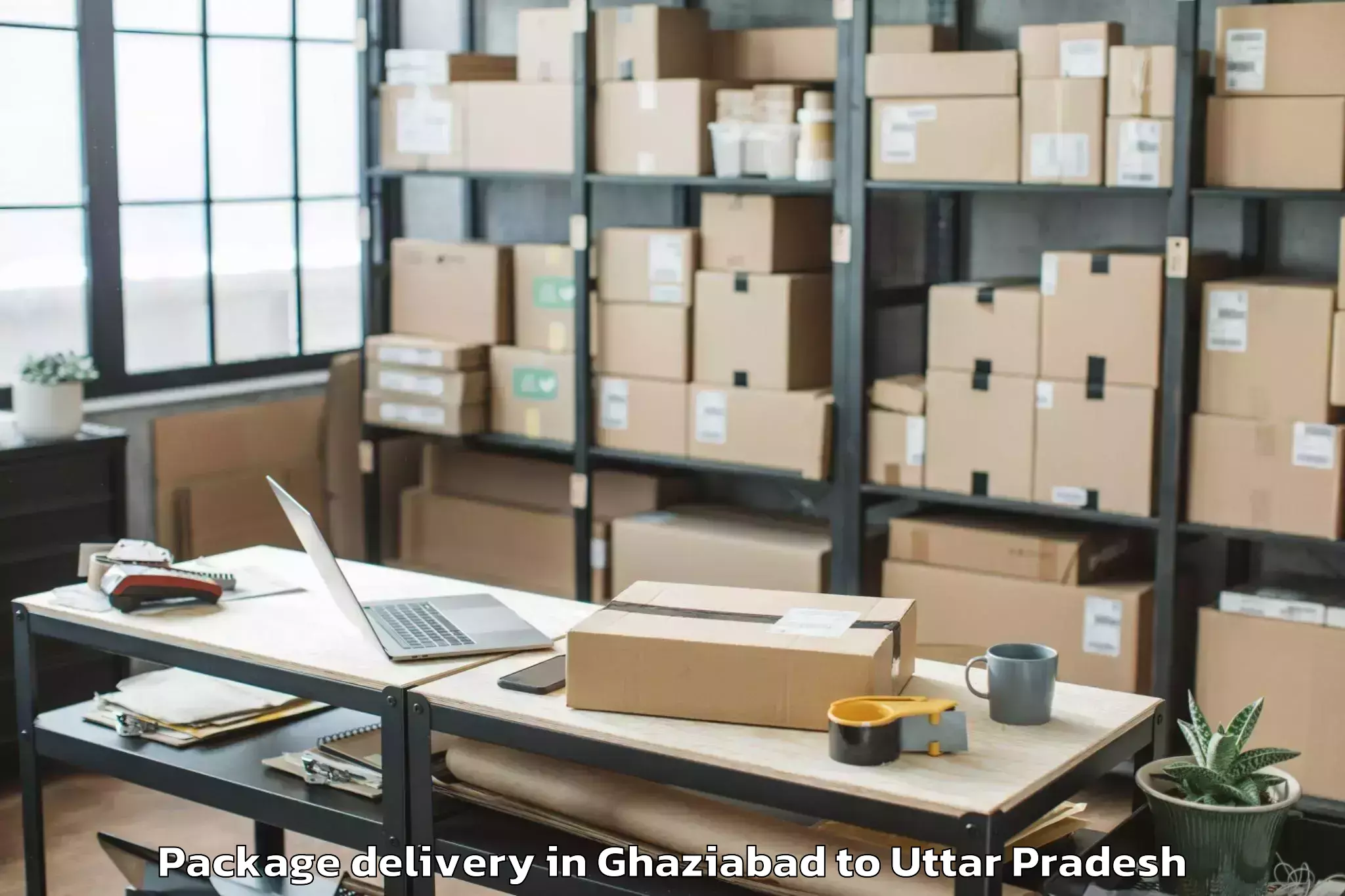 Trusted Ghaziabad to Monad University Hapur Package Delivery